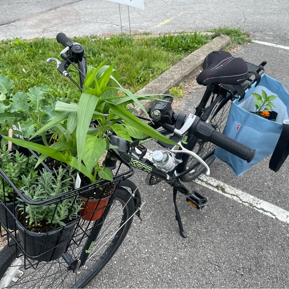 Meet your Posher, Ruth - Picture 3 of 3